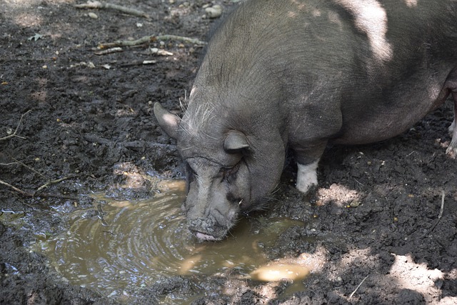绝妙传递+完美终结！这才是团队足球的巅峰！