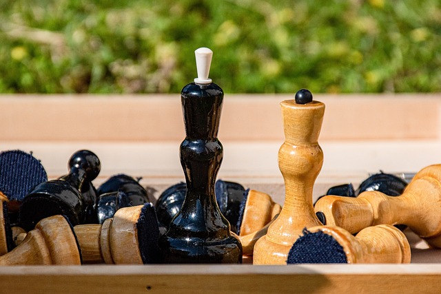 维纳尔杜姆 维纳尔杜姆