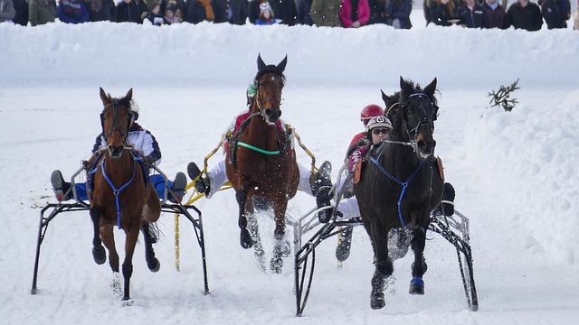 不如关注比 不如关注比