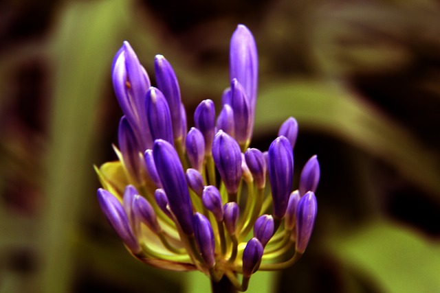 还是裁判 还是裁判