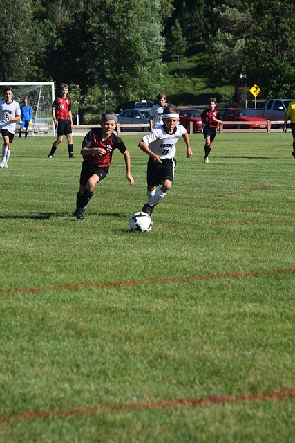 尤其是在主 尤其是在主