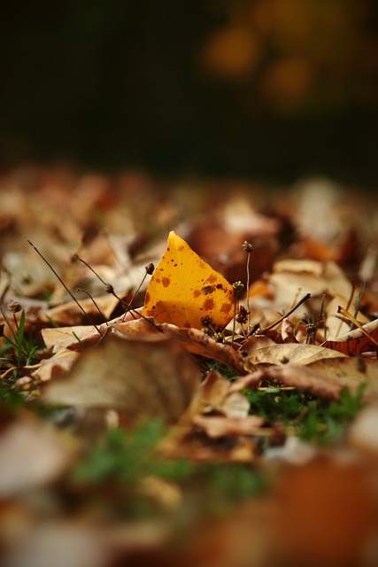 今年的比赛 今年的比赛