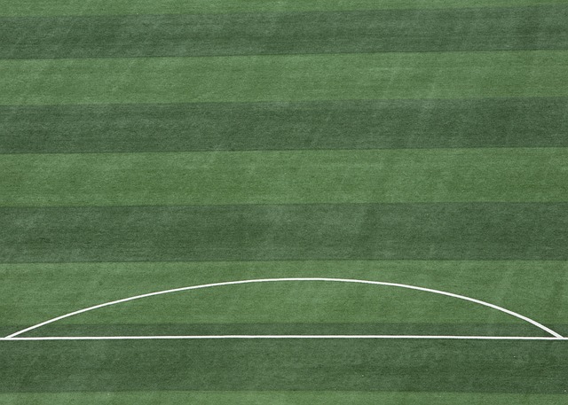 足您的多样 足您的多样